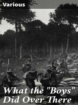 cover image of What the "Boys" Did Over There